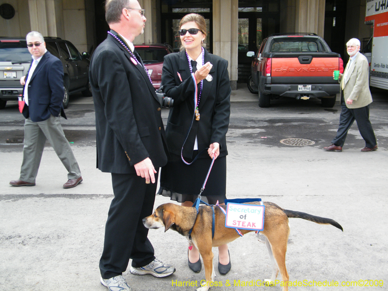 2009-Mystic-Krewe-of-Barkus-Mardi-Gras-French-Quarter-New-Orleans-Dog-Parade-Harriet-Cross-7116