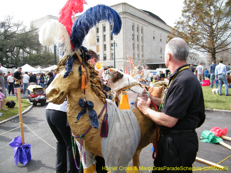 2009-Mystic-Krewe-of-Barkus-Mardi-Gras-French-Quarter-New-Orleans-Dog-Parade-Harriet-Cross-7135