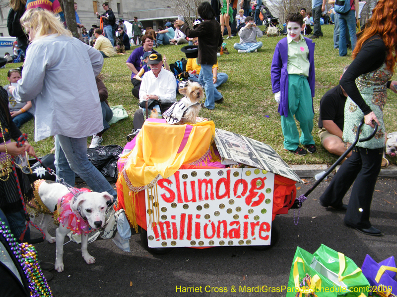 2009-Mystic-Krewe-of-Barkus-Mardi-Gras-French-Quarter-New-Orleans-Dog-Parade-Harriet-Cross-7140