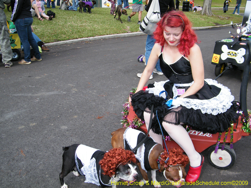2009-Mystic-Krewe-of-Barkus-Mardi-Gras-French-Quarter-New-Orleans-Dog-Parade-Harriet-Cross-7142