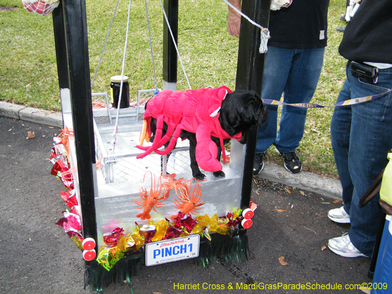 2009-Mystic-Krewe-of-Barkus-Mardi-Gras-French-Quarter-New-Orleans-Dog-Parade-Harriet-Cross-7143