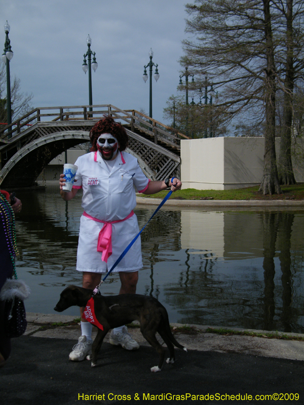 2009-Mystic-Krewe-of-Barkus-Mardi-Gras-French-Quarter-New-Orleans-Dog-Parade-Harriet-Cross-7147