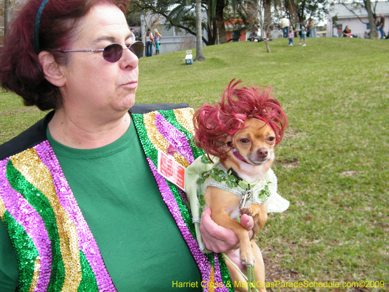 2009-Mystic-Krewe-of-Barkus-Mardi-Gras-French-Quarter-New-Orleans-Dog-Parade-Harriet-Cross-7149