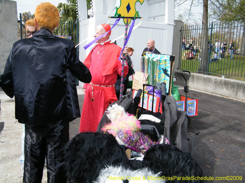 2009-Mystic-Krewe-of-Barkus-Mardi-Gras-French-Quarter-New-Orleans-Dog-Parade-Harriet-Cross-7152