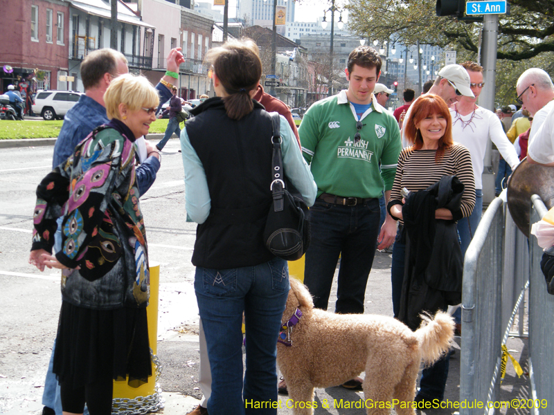2009-Mystic-Krewe-of-Barkus-Mardi-Gras-French-Quarter-New-Orleans-Dog-Parade-Harriet-Cross-7154