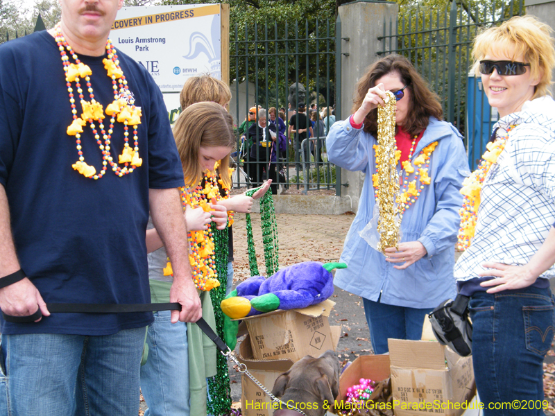 2009-Mystic-Krewe-of-Barkus-Mardi-Gras-French-Quarter-New-Orleans-Dog-Parade-Harriet-Cross-7158