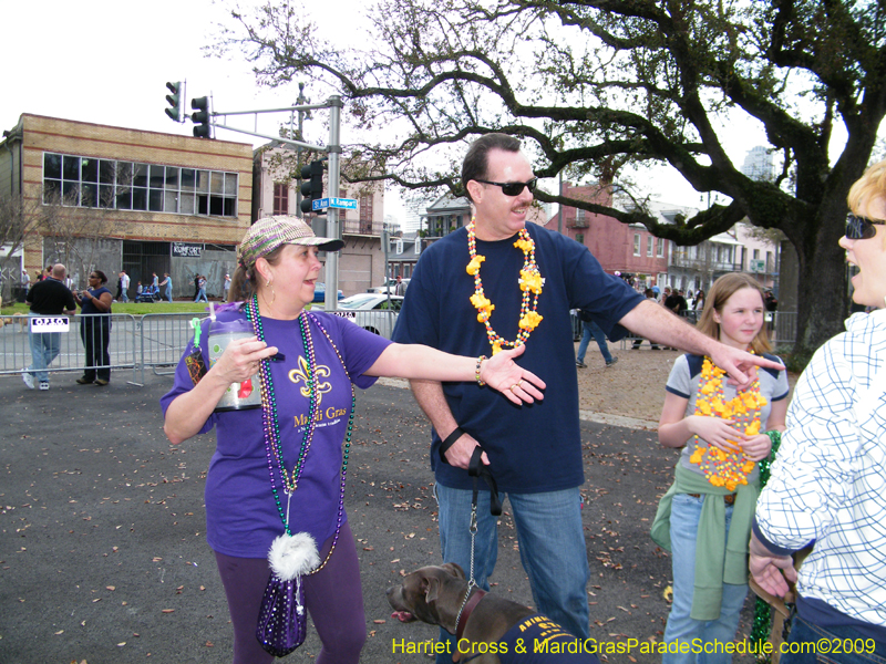 2009-Mystic-Krewe-of-Barkus-Mardi-Gras-French-Quarter-New-Orleans-Dog-Parade-Harriet-Cross-7159