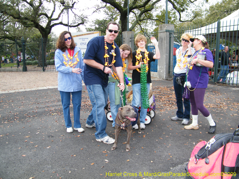 2009-Mystic-Krewe-of-Barkus-Mardi-Gras-French-Quarter-New-Orleans-Dog-Parade-Harriet-Cross-7161