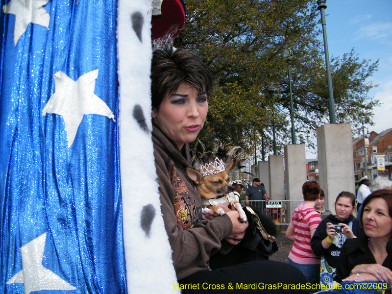 2009-Mystic-Krewe-of-Barkus-Mardi-Gras-French-Quarter-New-Orleans-Dog-Parade-Harriet-Cross-7164
