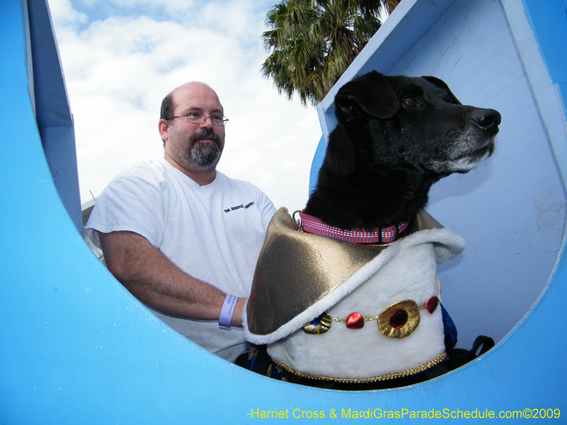 2009-Mystic-Krewe-of-Barkus-Mardi-Gras-French-Quarter-New-Orleans-Dog-Parade-Harriet-Cross-7167