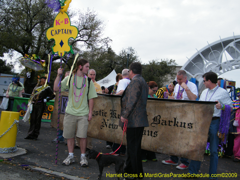 2009-Mystic-Krewe-of-Barkus-Mardi-Gras-French-Quarter-New-Orleans-Dog-Parade-Harriet-Cross-7183
