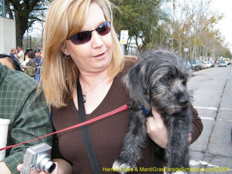 2009-Mystic-Krewe-of-Barkus-Mardi-Gras-French-Quarter-New-Orleans-Dog-Parade-Harriet-Cross-7184