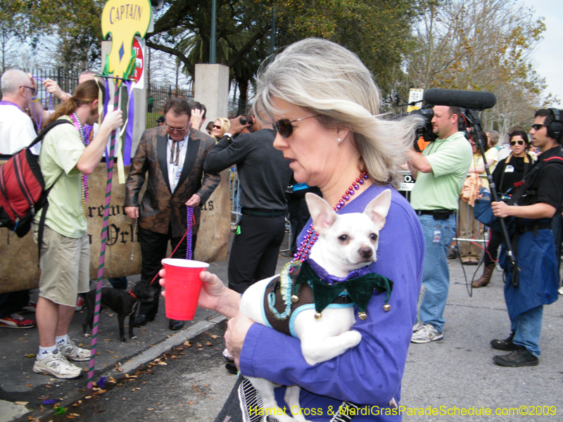 2009-Mystic-Krewe-of-Barkus-Mardi-Gras-French-Quarter-New-Orleans-Dog-Parade-Harriet-Cross-7191