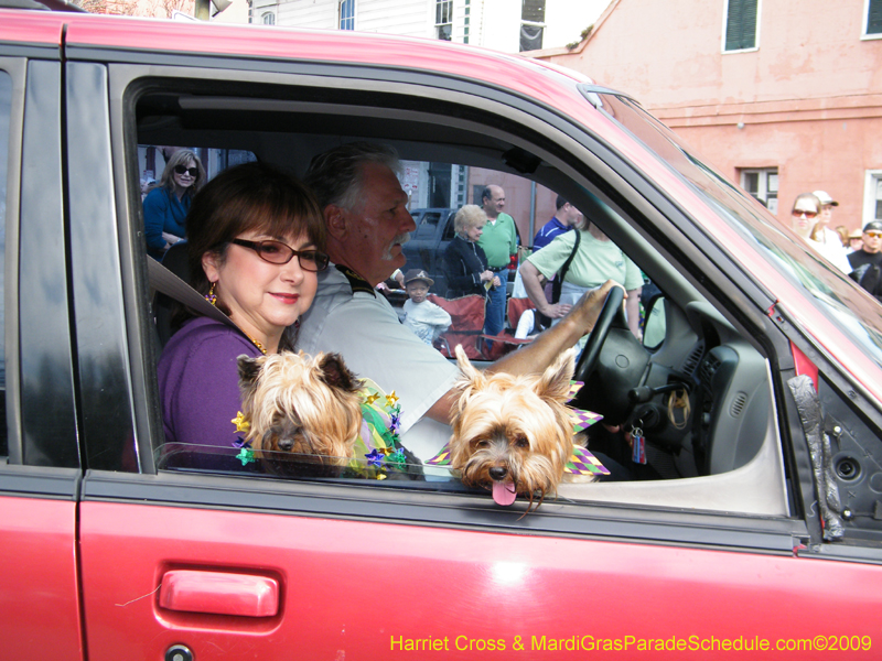 2009-Mystic-Krewe-of-Barkus-Mardi-Gras-French-Quarter-New-Orleans-Dog-Parade-Harriet-Cross-7192