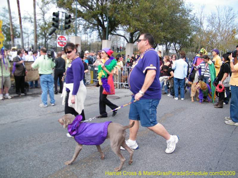 2009-Mystic-Krewe-of-Barkus-Mardi-Gras-French-Quarter-New-Orleans-Dog-Parade-Harriet-Cross-7196