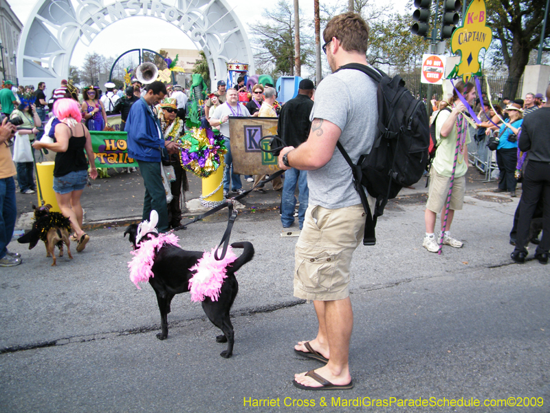 2009-Mystic-Krewe-of-Barkus-Mardi-Gras-French-Quarter-New-Orleans-Dog-Parade-Harriet-Cross-7201