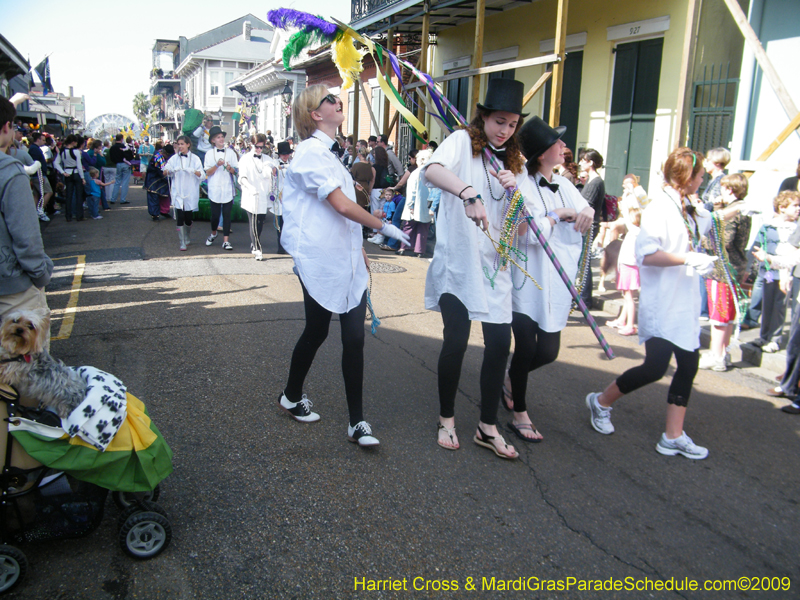 2009-Mystic-Krewe-of-Barkus-Mardi-Gras-French-Quarter-New-Orleans-Dog-Parade-Harriet-Cross-7203