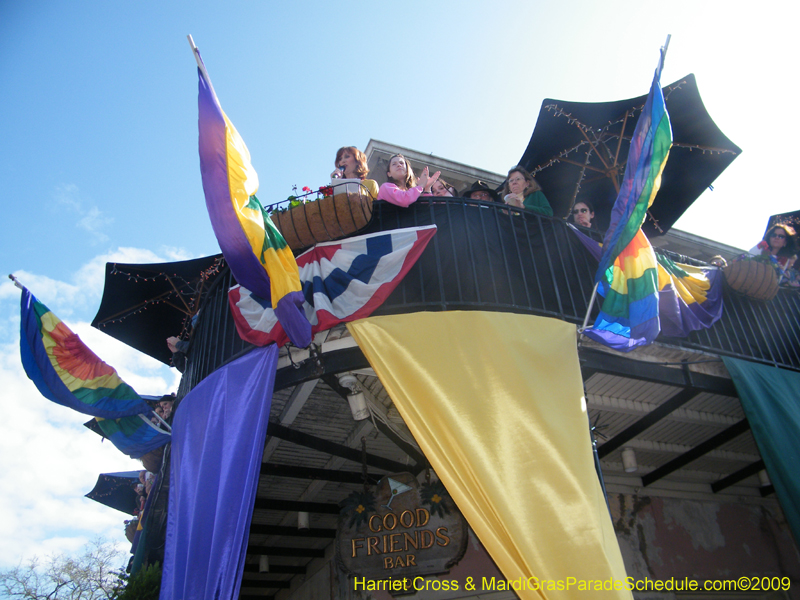 2009-Mystic-Krewe-of-Barkus-Mardi-Gras-French-Quarter-New-Orleans-Dog-Parade-Harriet-Cross-7207
