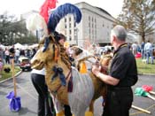 2009-Mystic-Krewe-of-Barkus-Mardi-Gras-French-Quarter-New-Orleans-Dog-Parade-Harriet-Cross-7135