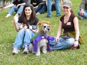 2009-Mystic-Krewe-of-Barkus-Mardi-Gras-French-Quarter-New-Orleans-Dog-Parade-Harriet-Cross-7141