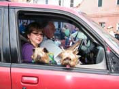 2009-Mystic-Krewe-of-Barkus-Mardi-Gras-French-Quarter-New-Orleans-Dog-Parade-Harriet-Cross-7192