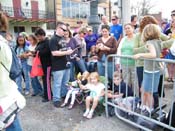 2009-Mystic-Krewe-of-Barkus-Mardi-Gras-French-Quarter-New-Orleans-Dog-Parade-Harriet-Cross-7195