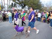 2009-Mystic-Krewe-of-Barkus-Mardi-Gras-French-Quarter-New-Orleans-Dog-Parade-Harriet-Cross-7196