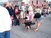 2009-Mystic-Krewe-of-Barkus-Mardi-Gras-French-Quarter-New-Orleans-Dog-Parade-Harriet-Cross-7200