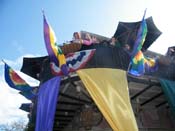 2009-Mystic-Krewe-of-Barkus-Mardi-Gras-French-Quarter-New-Orleans-Dog-Parade-Harriet-Cross-7207
