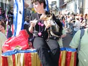2009-Mystic-Krewe-of-Barkus-Mardi-Gras-French-Quarter-New-Orleans-Dog-Parade-Harriet-Cross-7231