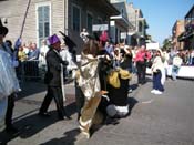 2009-Mystic-Krewe-of-Barkus-Mardi-Gras-French-Quarter-New-Orleans-Dog-Parade-Harriet-Cross-7243