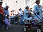 2009-Mystic-Krewe-of-Barkus-Mardi-Gras-French-Quarter-New-Orleans-Dog-Parade-Harriet-Cross-7249
