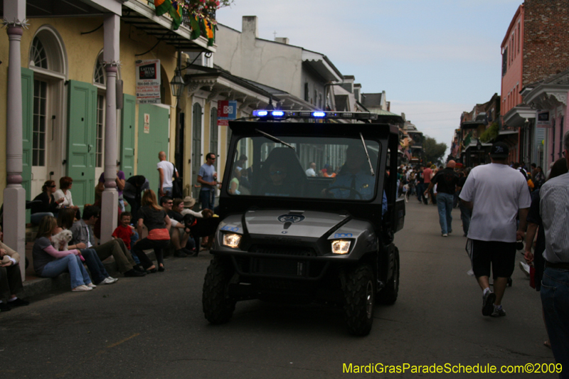 2009-Mystic-Krewe-of-Barkus-Mardi-Gras-French-Quarter-New-Orleans-Dog-Parade-0476