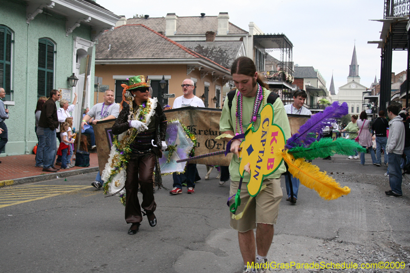 2009-Mystic-Krewe-of-Barkus-Mardi-Gras-French-Quarter-New-Orleans-Dog-Parade-0484