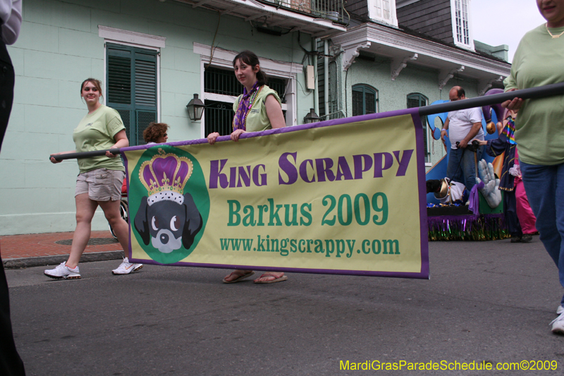 2009-Mystic-Krewe-of-Barkus-Mardi-Gras-French-Quarter-New-Orleans-Dog-Parade-0491