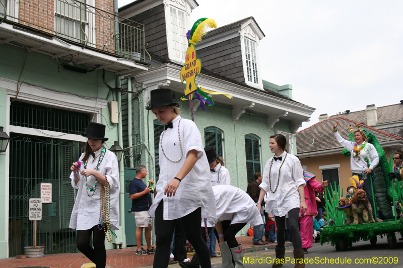 2009-Mystic-Krewe-of-Barkus-Mardi-Gras-French-Quarter-New-Orleans-Dog-Parade-0496