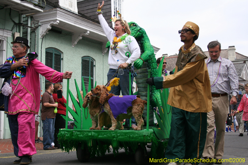 2009-Mystic-Krewe-of-Barkus-Mardi-Gras-French-Quarter-New-Orleans-Dog-Parade-0497
