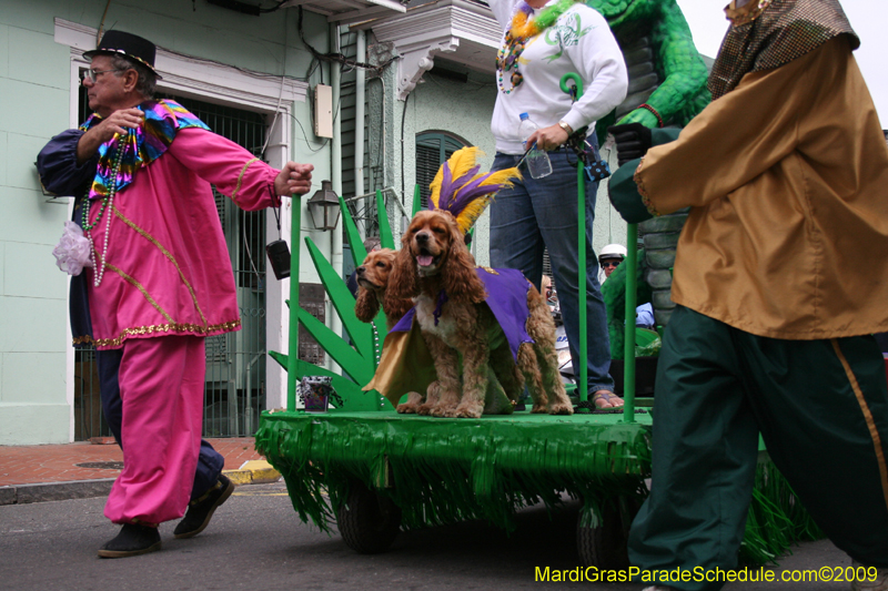 2009-Mystic-Krewe-of-Barkus-Mardi-Gras-French-Quarter-New-Orleans-Dog-Parade-0498
