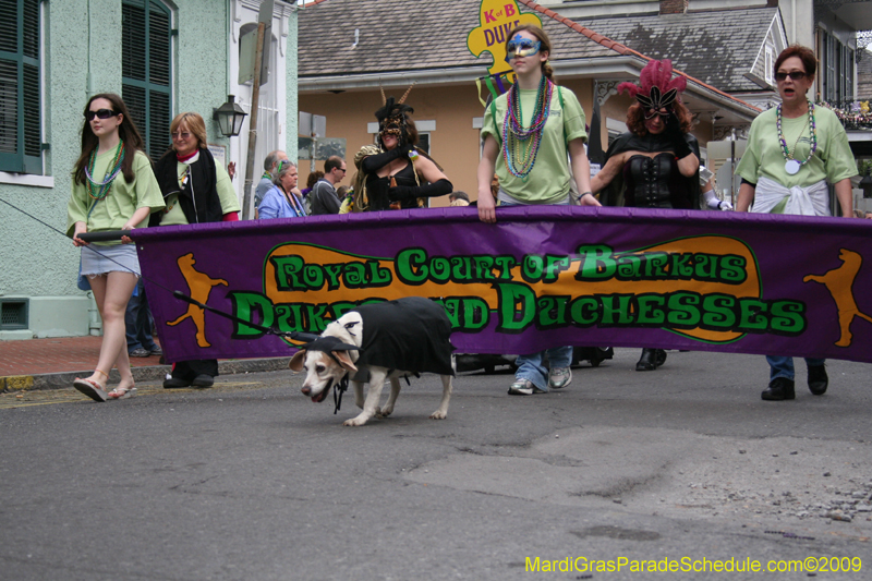 2009-Mystic-Krewe-of-Barkus-Mardi-Gras-French-Quarter-New-Orleans-Dog-Parade-0499