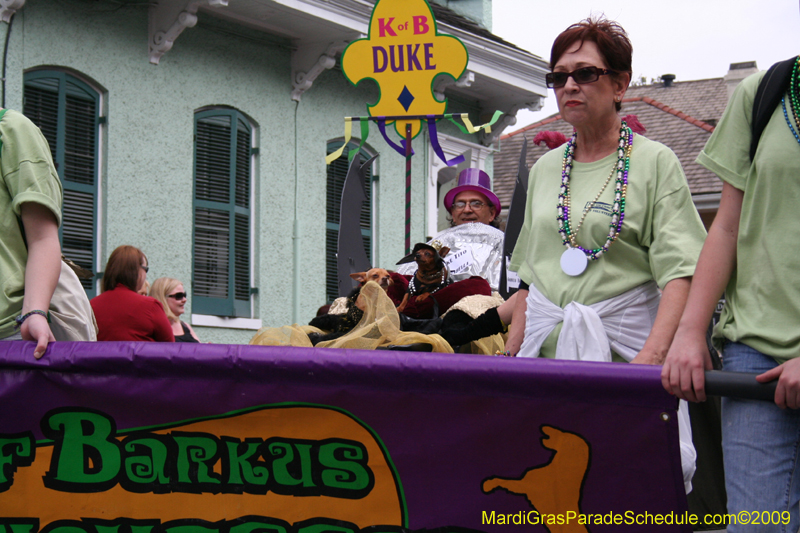 2009-Mystic-Krewe-of-Barkus-Mardi-Gras-French-Quarter-New-Orleans-Dog-Parade-0500
