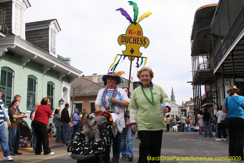 2009-Mystic-Krewe-of-Barkus-Mardi-Gras-French-Quarter-New-Orleans-Dog-Parade-0504