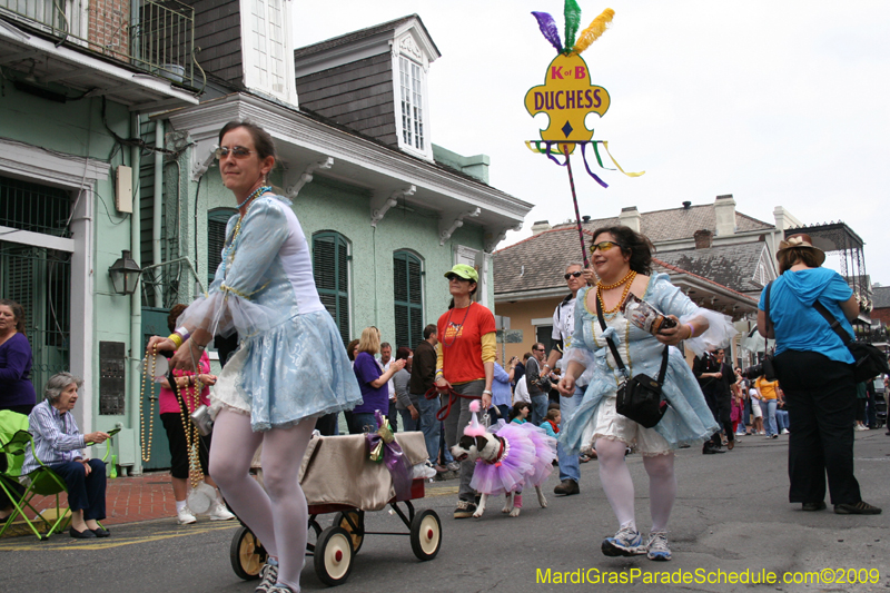 2009-Mystic-Krewe-of-Barkus-Mardi-Gras-French-Quarter-New-Orleans-Dog-Parade-0508