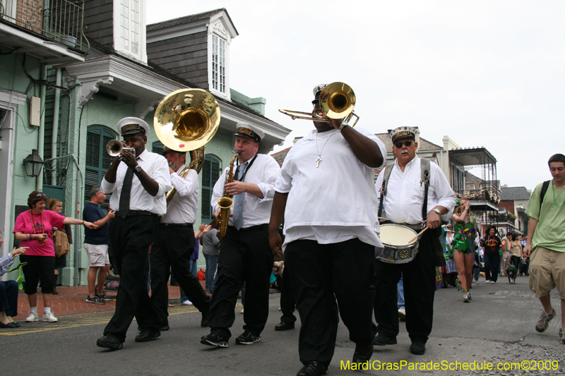 2009-Mystic-Krewe-of-Barkus-Mardi-Gras-French-Quarter-New-Orleans-Dog-Parade-0516