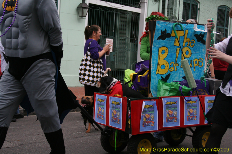 2009-Mystic-Krewe-of-Barkus-Mardi-Gras-French-Quarter-New-Orleans-Dog-Parade-0517