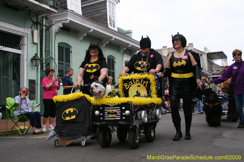 2009-Mystic-Krewe-of-Barkus-Mardi-Gras-French-Quarter-New-Orleans-Dog-Parade-0523