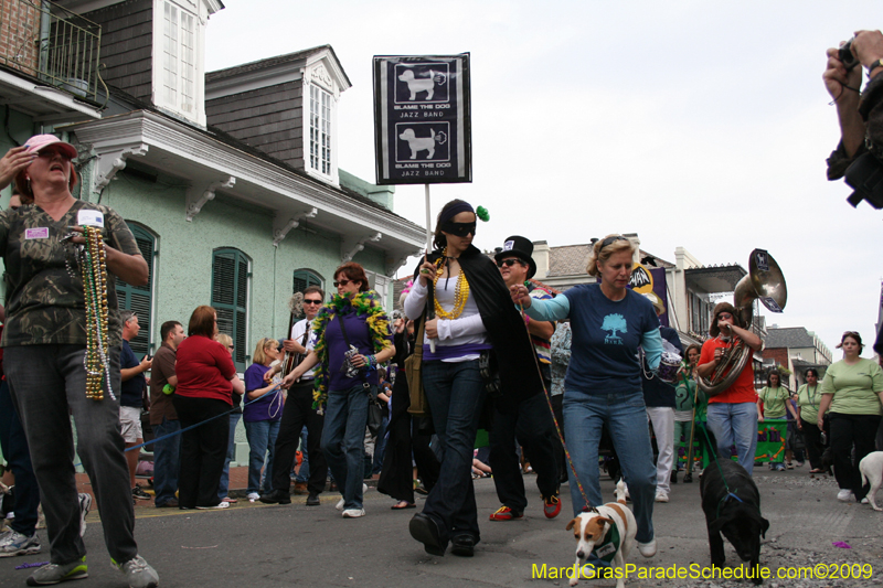 2009-Mystic-Krewe-of-Barkus-Mardi-Gras-French-Quarter-New-Orleans-Dog-Parade-0544