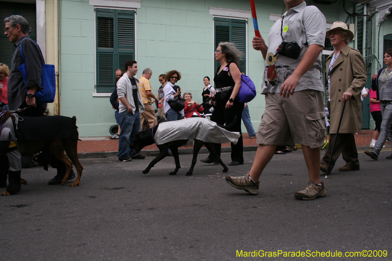 2009-Mystic-Krewe-of-Barkus-Mardi-Gras-French-Quarter-New-Orleans-Dog-Parade-0551