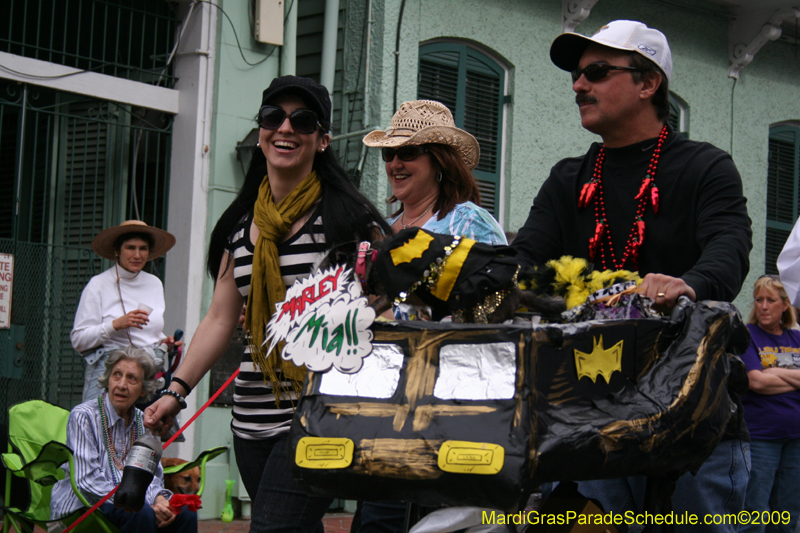 2009-Mystic-Krewe-of-Barkus-Mardi-Gras-French-Quarter-New-Orleans-Dog-Parade-0564