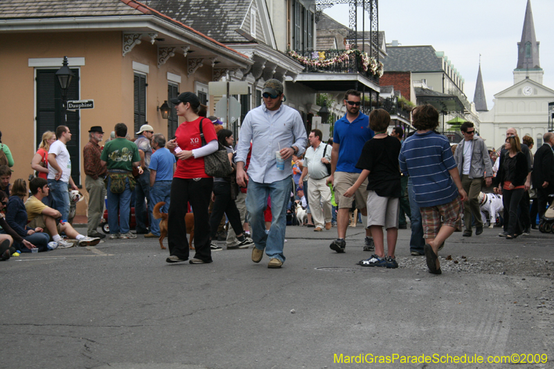 2009-Mystic-Krewe-of-Barkus-Mardi-Gras-French-Quarter-New-Orleans-Dog-Parade-0571