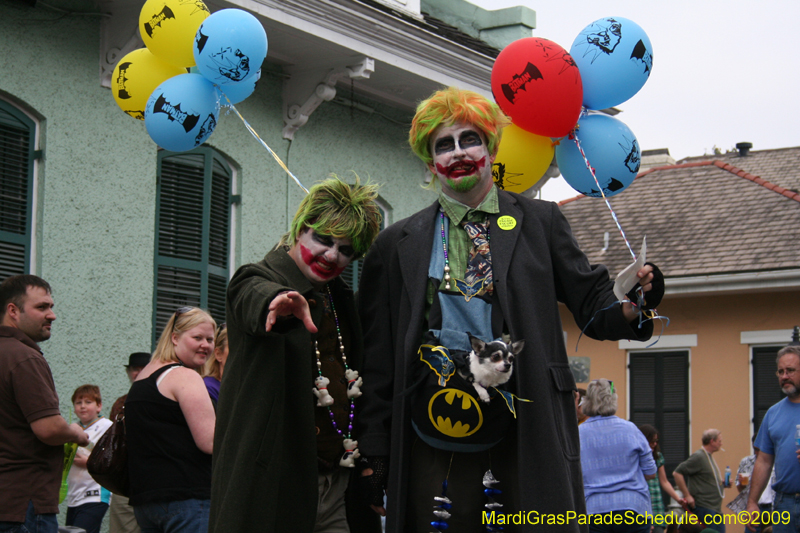 2009-Mystic-Krewe-of-Barkus-Mardi-Gras-French-Quarter-New-Orleans-Dog-Parade-0575
